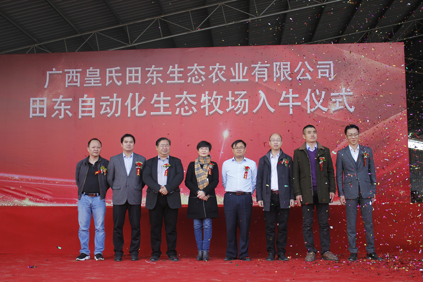 皇氏田東自動(dòng)化生態(tài)牧場(chǎng)入牛儀式圓滿完成