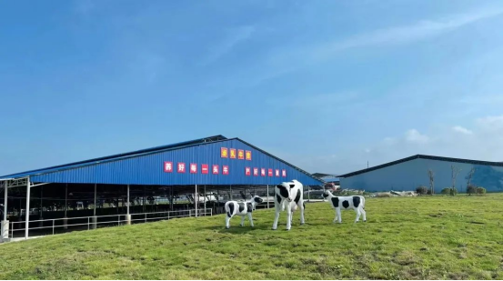 奶源建設(shè)再提速！田東縣皇氏奶業(yè)示范區(qū)正式投產(chǎn)！